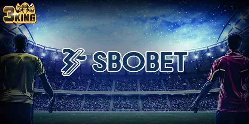 Sbobet 3king Sân Chơi Cá Cược Siêu Hot Cho Fan Thể Thao